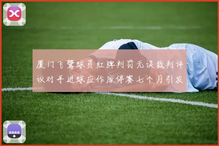 厦门飞鹭球员红牌判罚无误裁判评议对手进球应作废停赛七个月引发热议