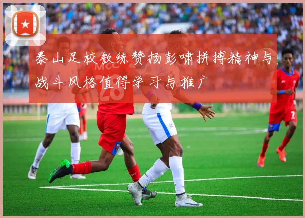 泰山足校教练赞扬彭啸拼搏精神与战斗风格值得学习与推广